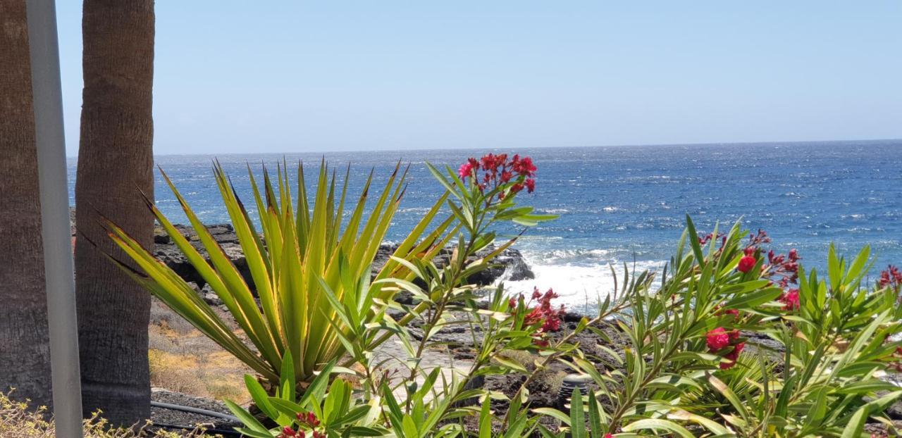 Cosy Well Located Apartment Tenerife Sur Golf Σαν Μιγκέλ ντε Αμπόνα Εξωτερικό φωτογραφία