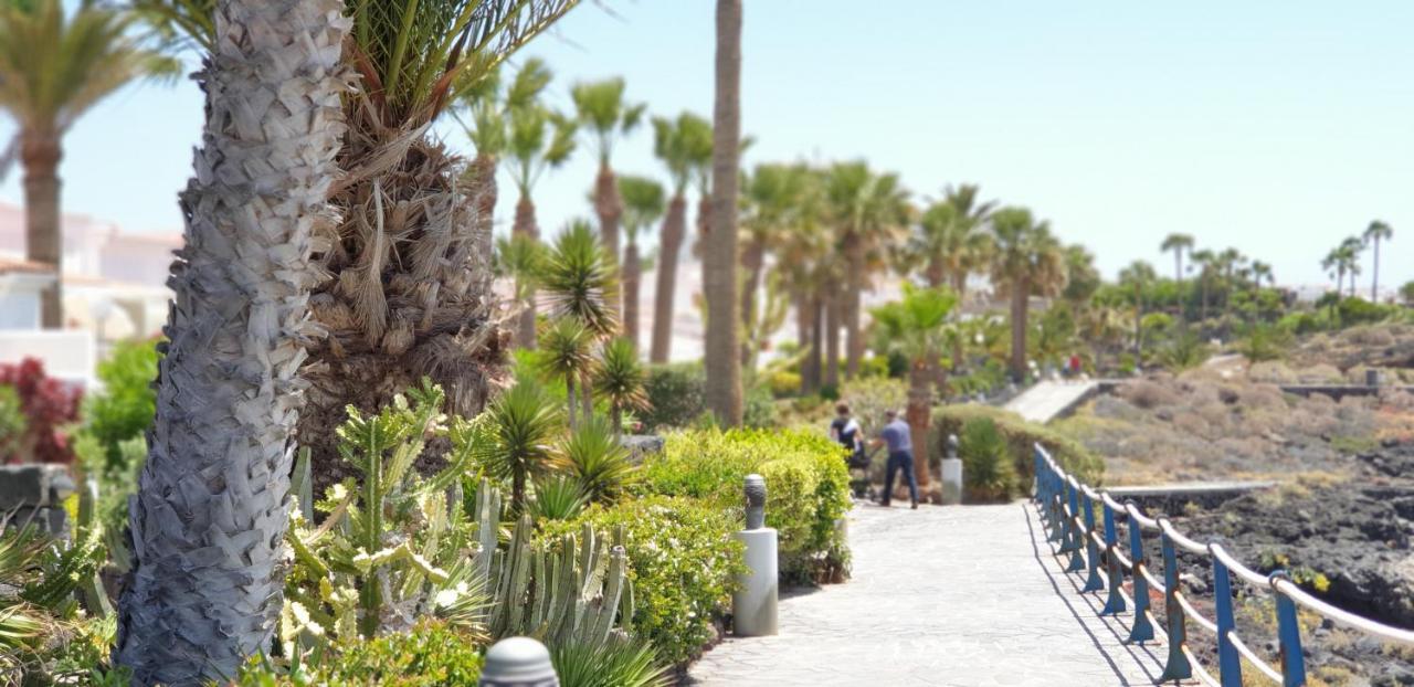 Cosy Well Located Apartment Tenerife Sur Golf Σαν Μιγκέλ ντε Αμπόνα Εξωτερικό φωτογραφία