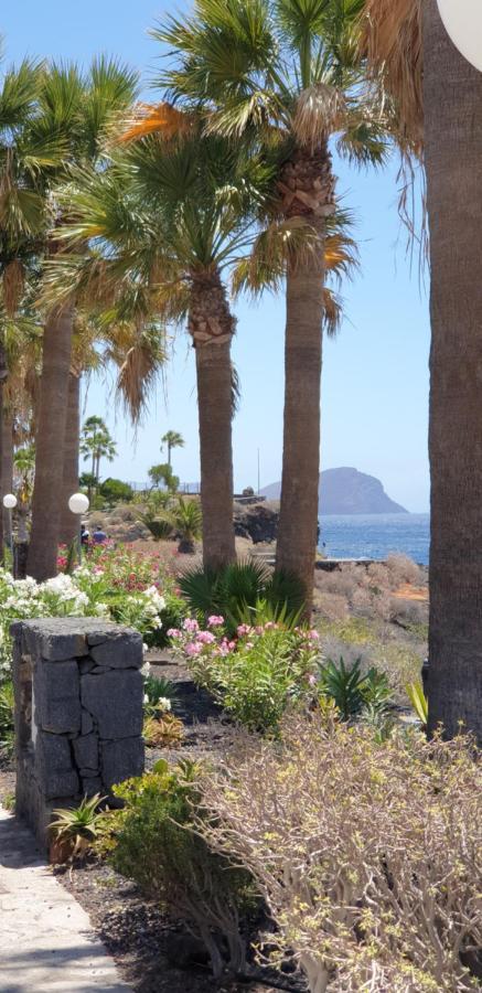 Cosy Well Located Apartment Tenerife Sur Golf Σαν Μιγκέλ ντε Αμπόνα Εξωτερικό φωτογραφία