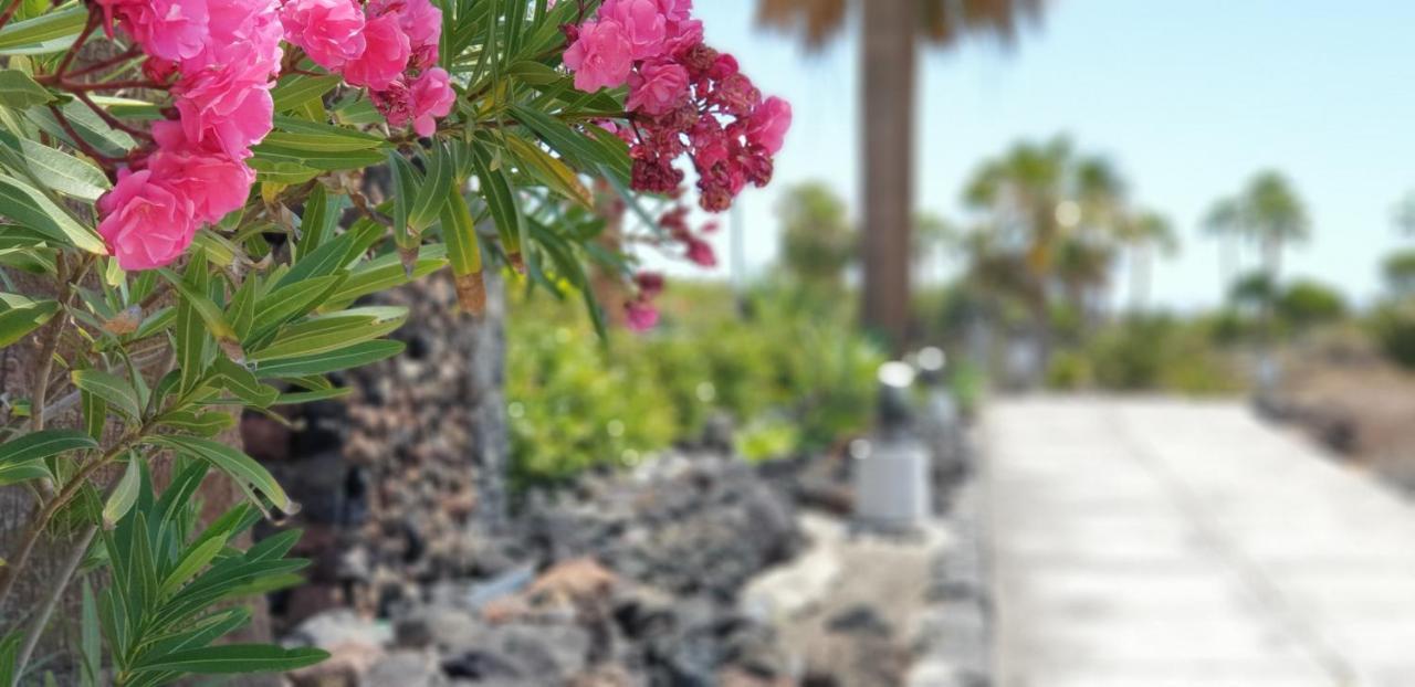 Cosy Well Located Apartment Tenerife Sur Golf Σαν Μιγκέλ ντε Αμπόνα Εξωτερικό φωτογραφία