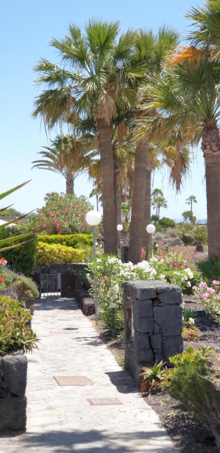 Cosy Well Located Apartment Tenerife Sur Golf Σαν Μιγκέλ ντε Αμπόνα Εξωτερικό φωτογραφία