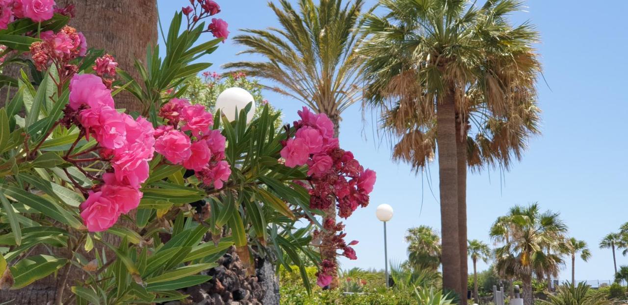 Cosy Well Located Apartment Tenerife Sur Golf Σαν Μιγκέλ ντε Αμπόνα Εξωτερικό φωτογραφία