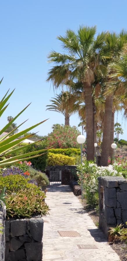 Cosy Well Located Apartment Tenerife Sur Golf Σαν Μιγκέλ ντε Αμπόνα Εξωτερικό φωτογραφία